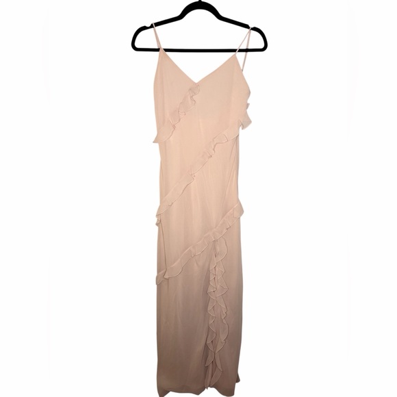 NWT Birdy Grey Valentina Chiffon Maxi Dress in Pale Blush - Picture 3 of 7